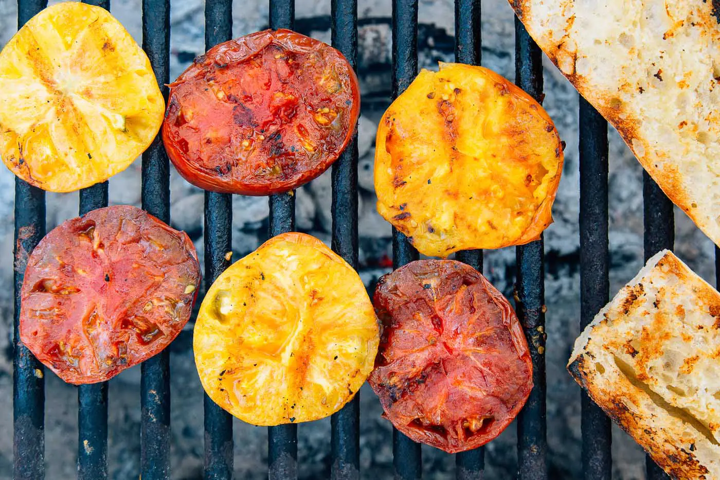 Grilling tomatoes over a campfire