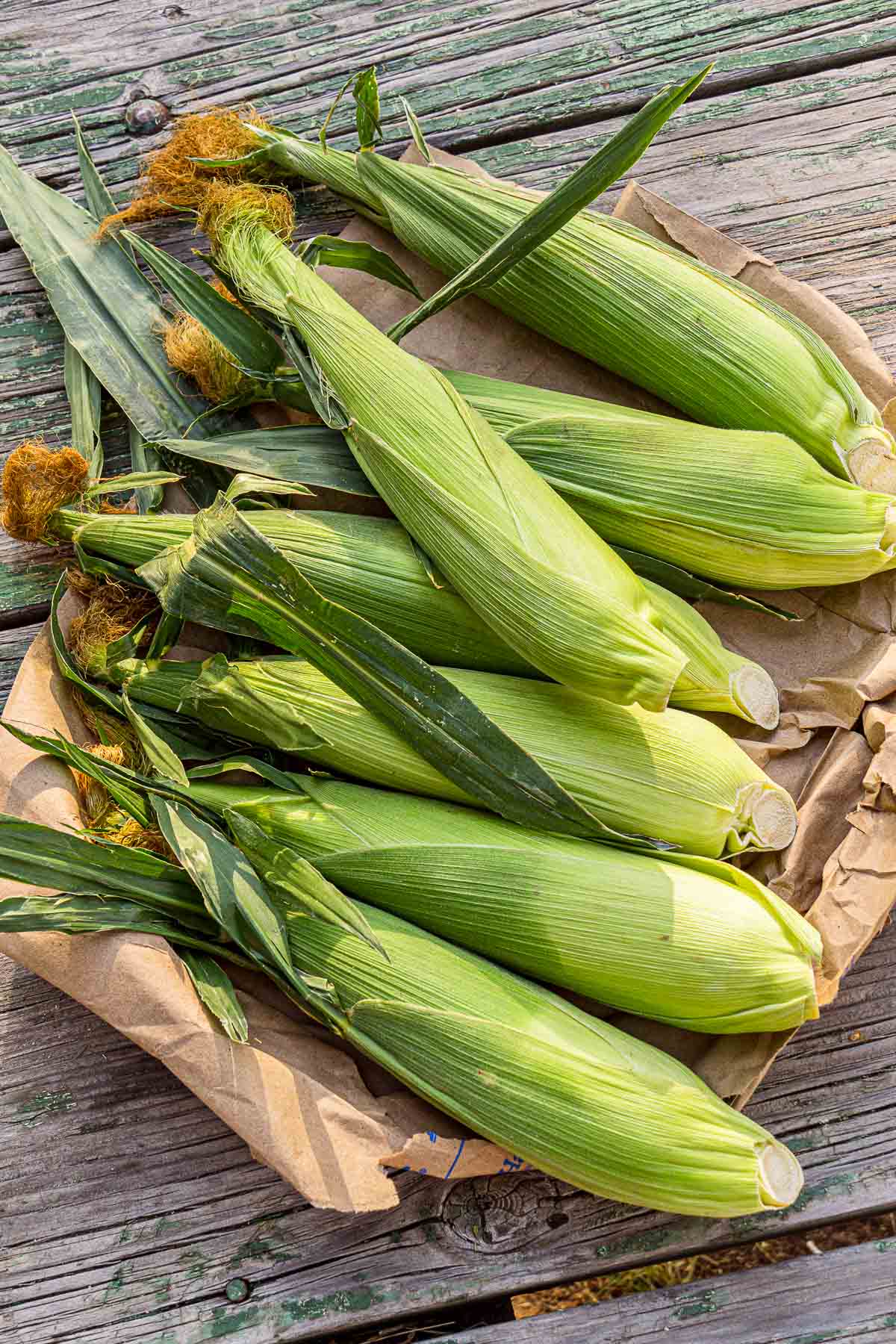Corn cobs on a table