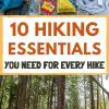 Pinterest graphic with text overlay reading "Hiking 10 Essentials you need for every hike"