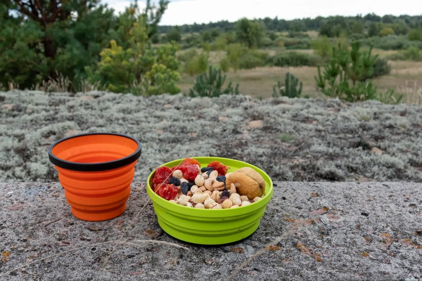 Nuts and dried fruit in a green bowl on a rock
