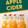 Pinterest graphic with text overlay reading "Homemade Apple Cider"