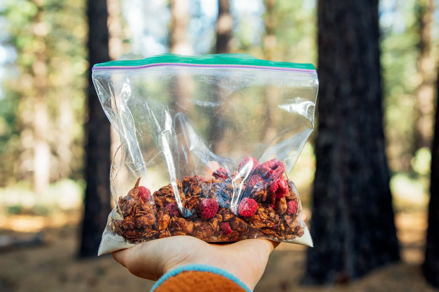 Coconut chocolate granola dotted with raspberries in a ziplock bag