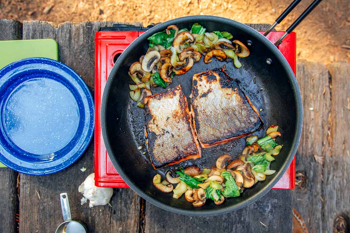 Two pan-seared salmon fillets in a camping skillet.