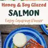 Pinterest graphic with text overlay reading "Honey and soy glazed salmon easy camping dinner"