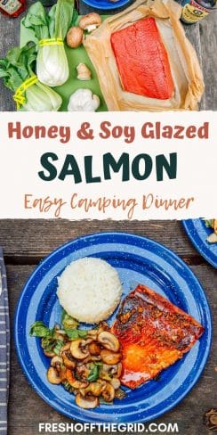 Honey Soy Glazed Salmon Fresh Off The Grid