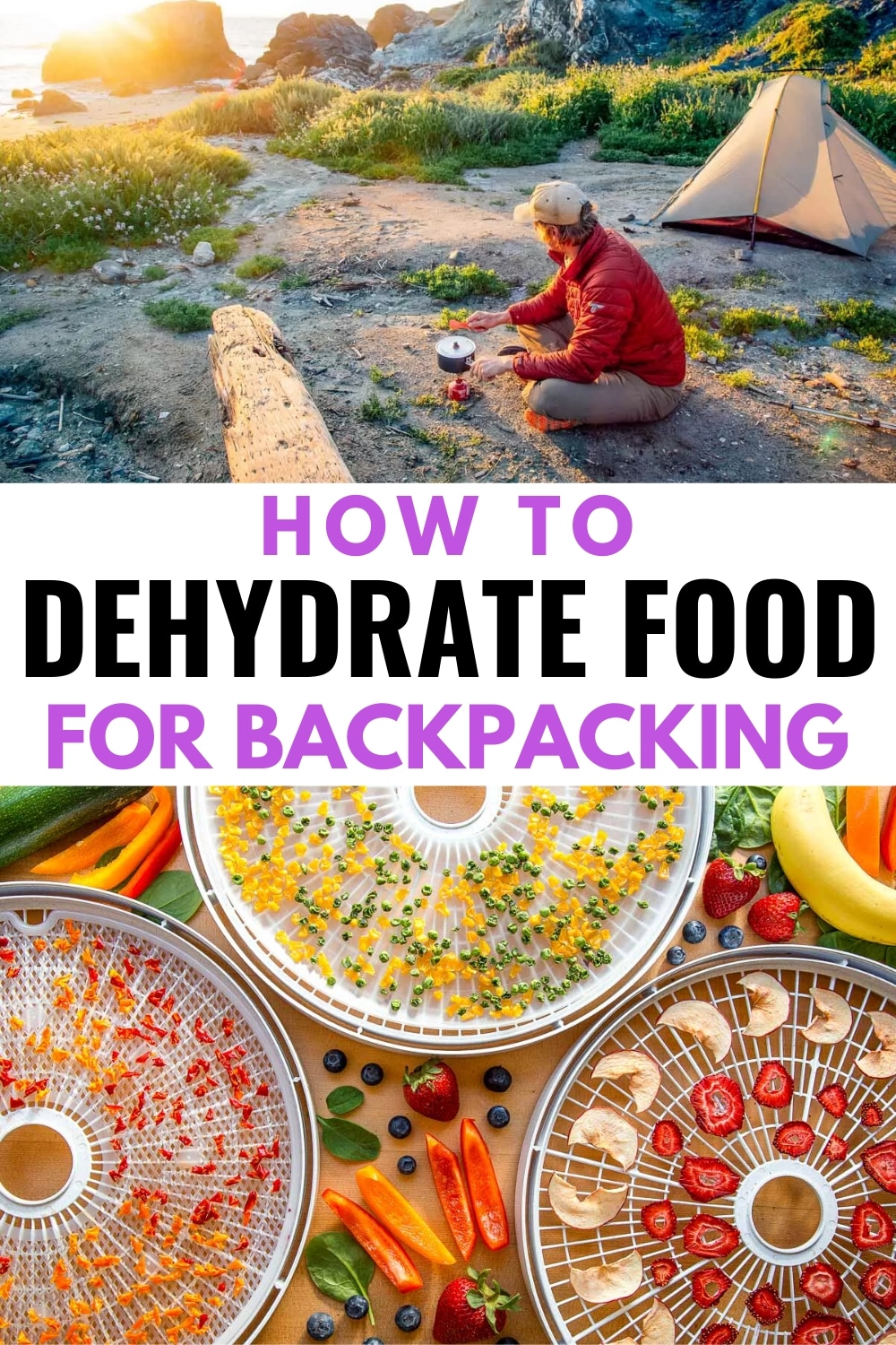 The Ultimate Guide to Dehydrating Food Fresh Off The Grid