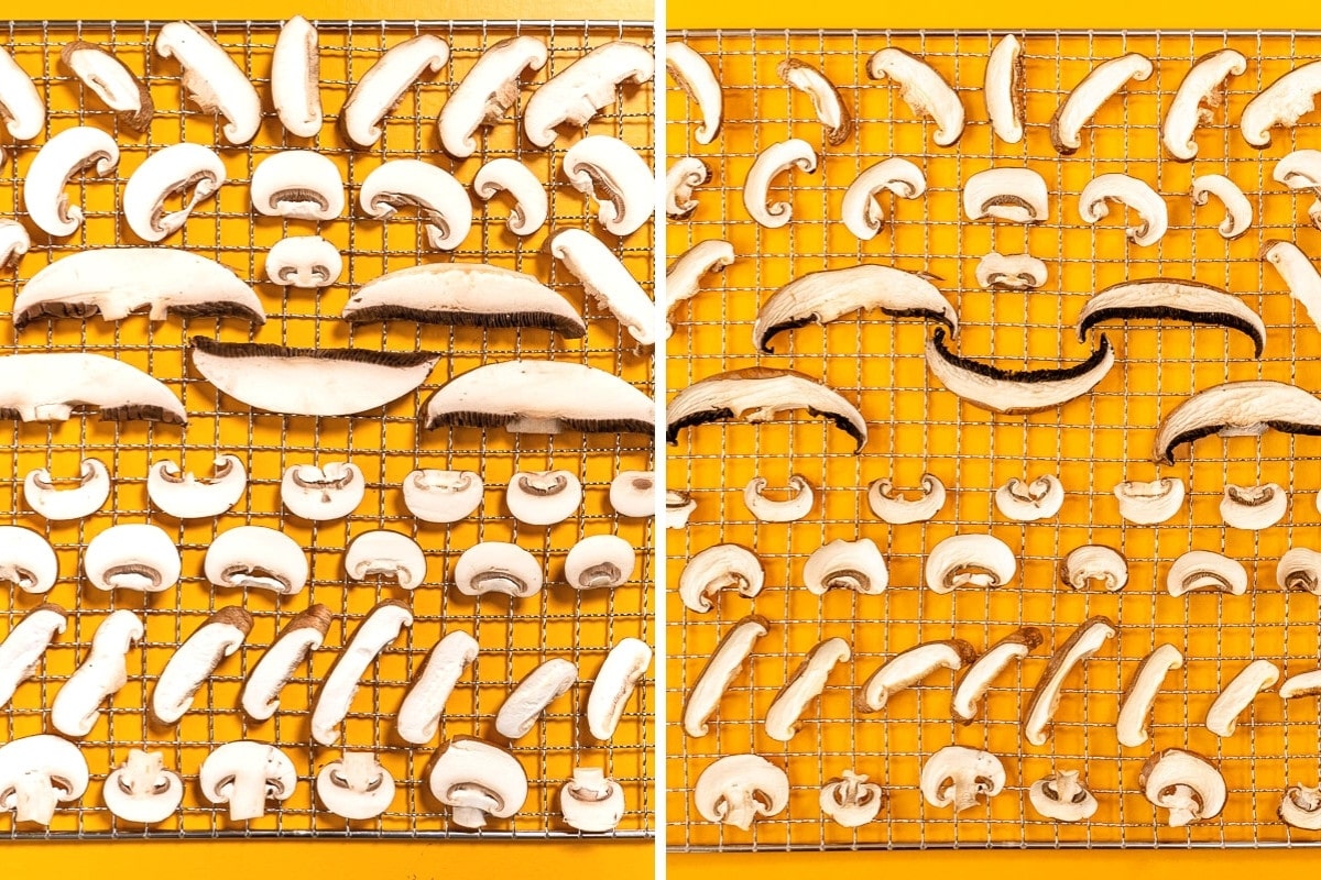 Sliced mushrooms on wire trays before and after dehydrating