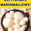 A red cup brimming with white dehydrated marshmallows, with a backdrop of more marshmallows and an overlay text that reads "how to dehydrate marshmallows!.