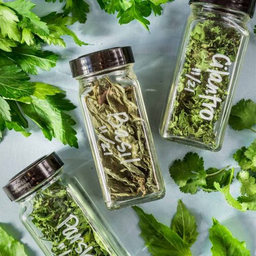 Dried herbs in glass jars