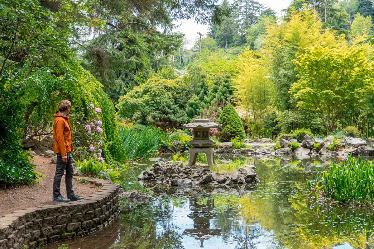 Michael stands on a sandy path and looks out over a pond in a Japanese style garden.