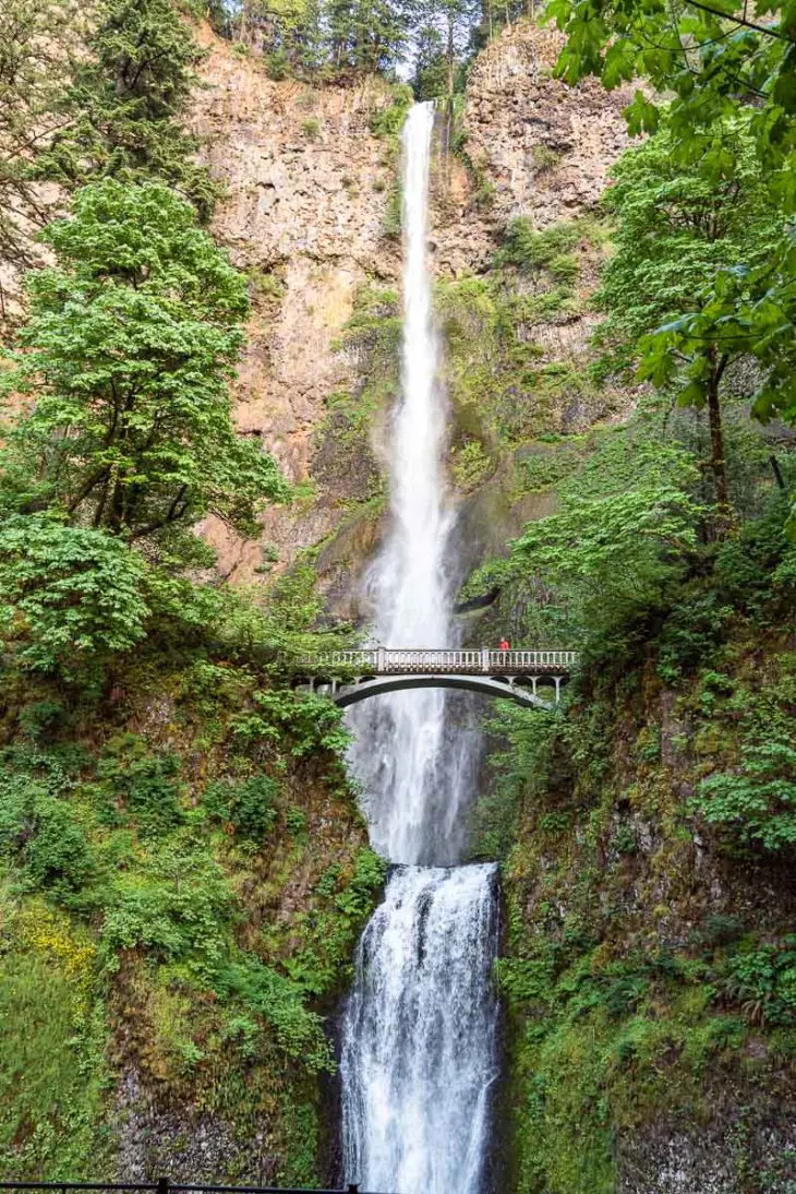 Michael stands on a bridge and looks at Multnomah Falls
