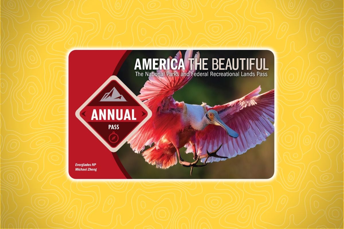 A colorful pass card with a pink bird flying over a yellow topographic background, red diamond reads "Annual Pass" with mountain icon.