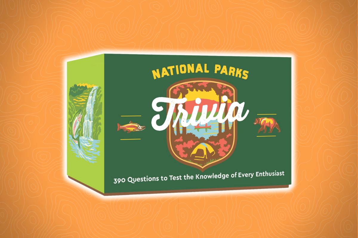 A colorful National Parks Trivia game box with drawings of a waterfall, fish, bear, tent, mountain, and printed game title.