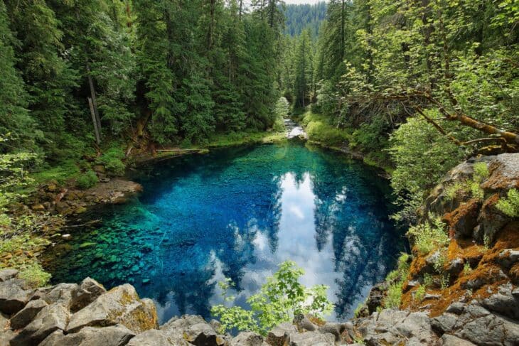 A clear blue pool with the reflection of trees in a green forest