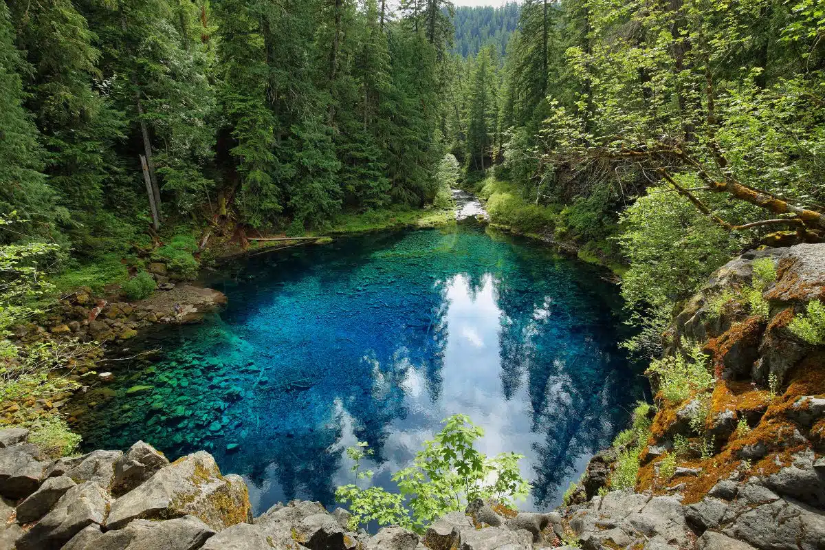 A clear blue pool with the reflection of trees in a green forest