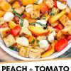 Pinterest graphic with text overlay reading "Peach and tomato panzanella"