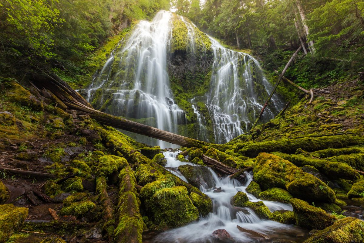 Proxy Falls flowing through mossy rocks