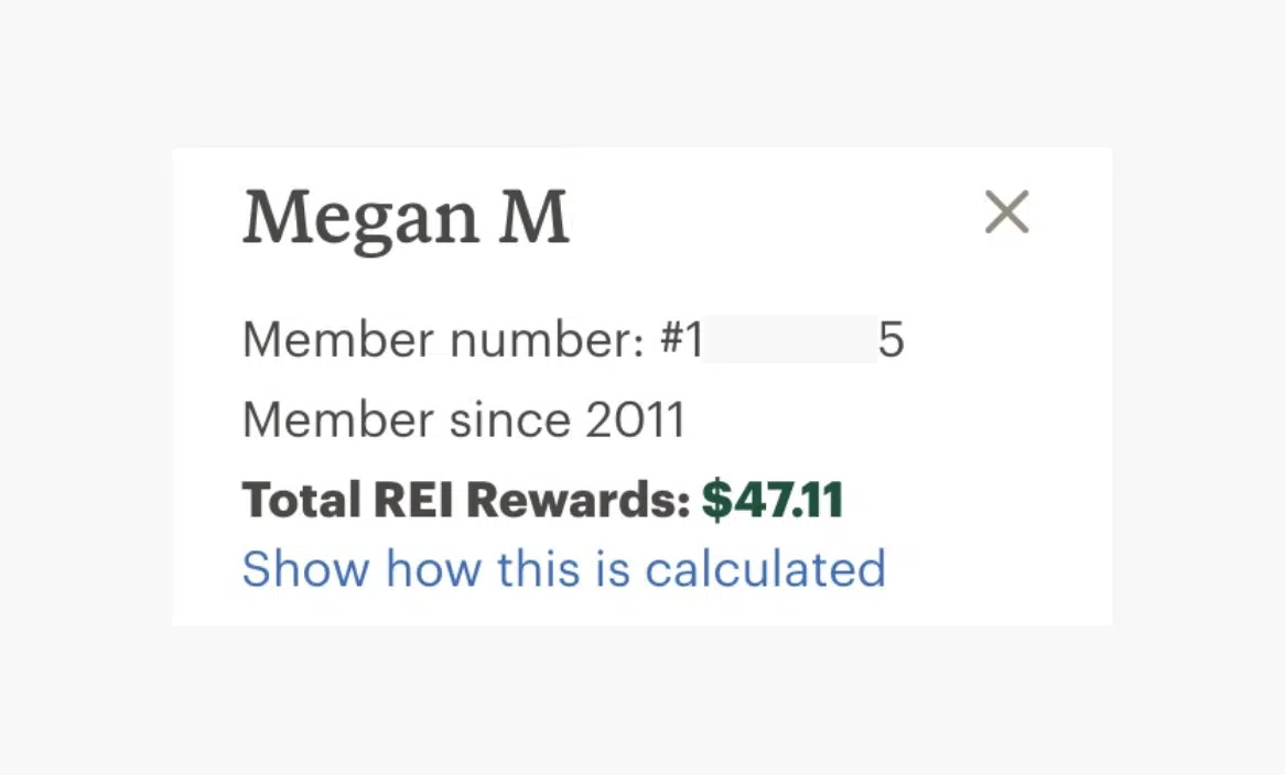 11 Benefits of REI Membership camper