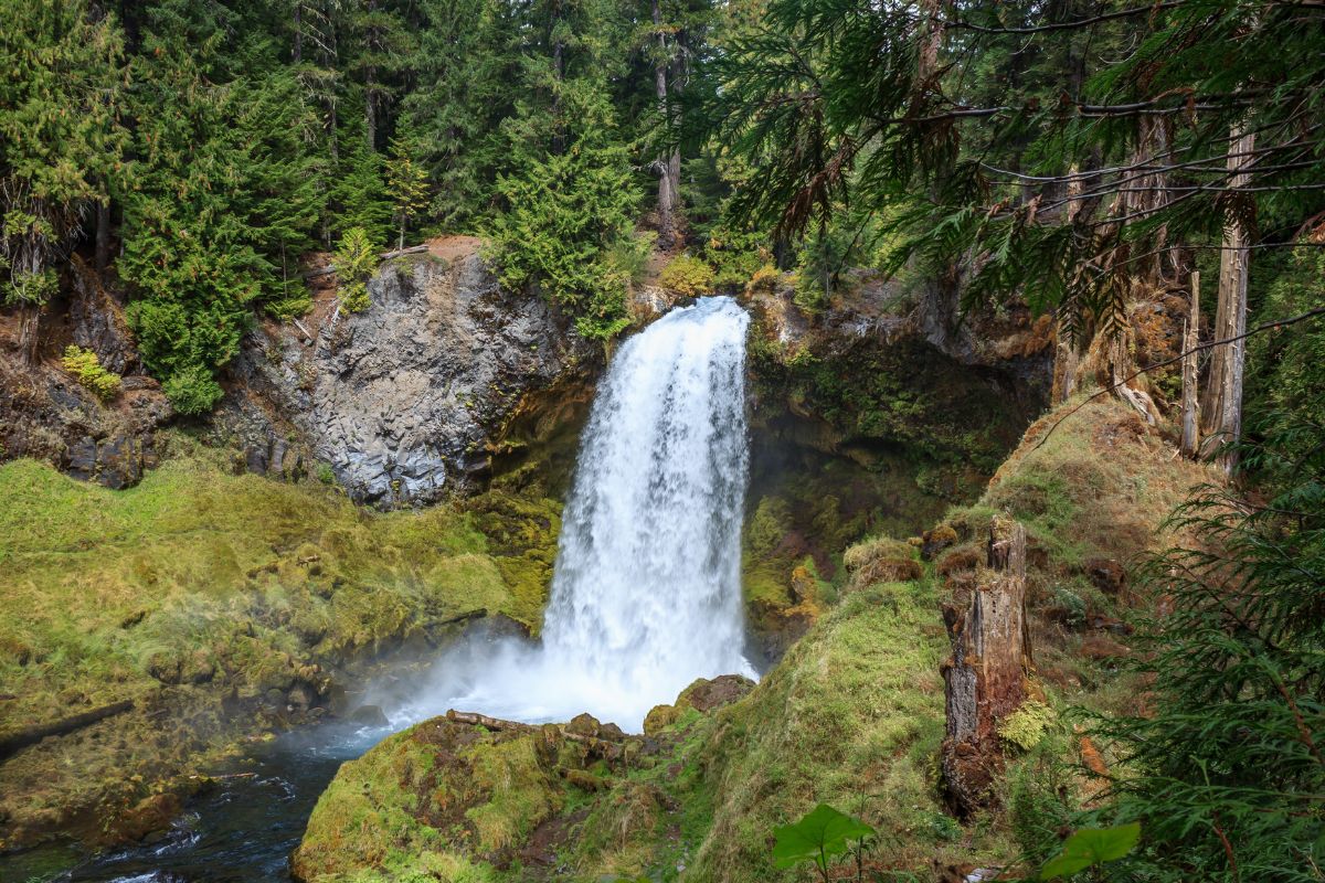A waterfall amongst trees and mossy rocks.