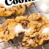 Pinterest graphic with text reading "the best s'mores cookies".