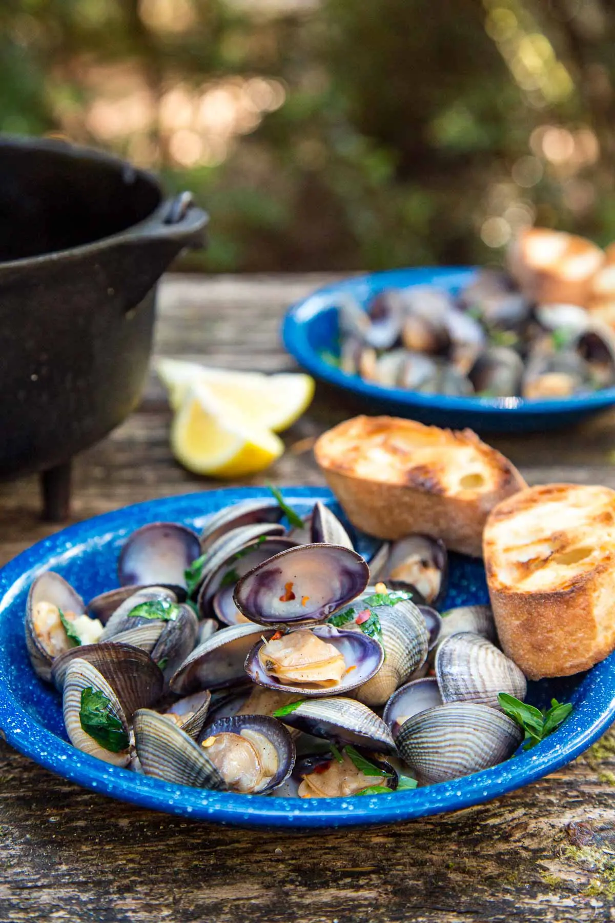 Steamed clams in a blue bowl with grilled bread on the side. A Dutch oven and trees are in the background.