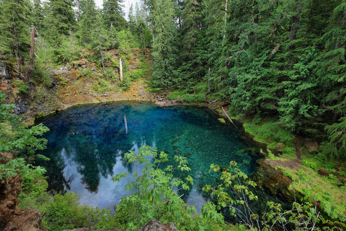 A topaz blue pool surrounded by trees