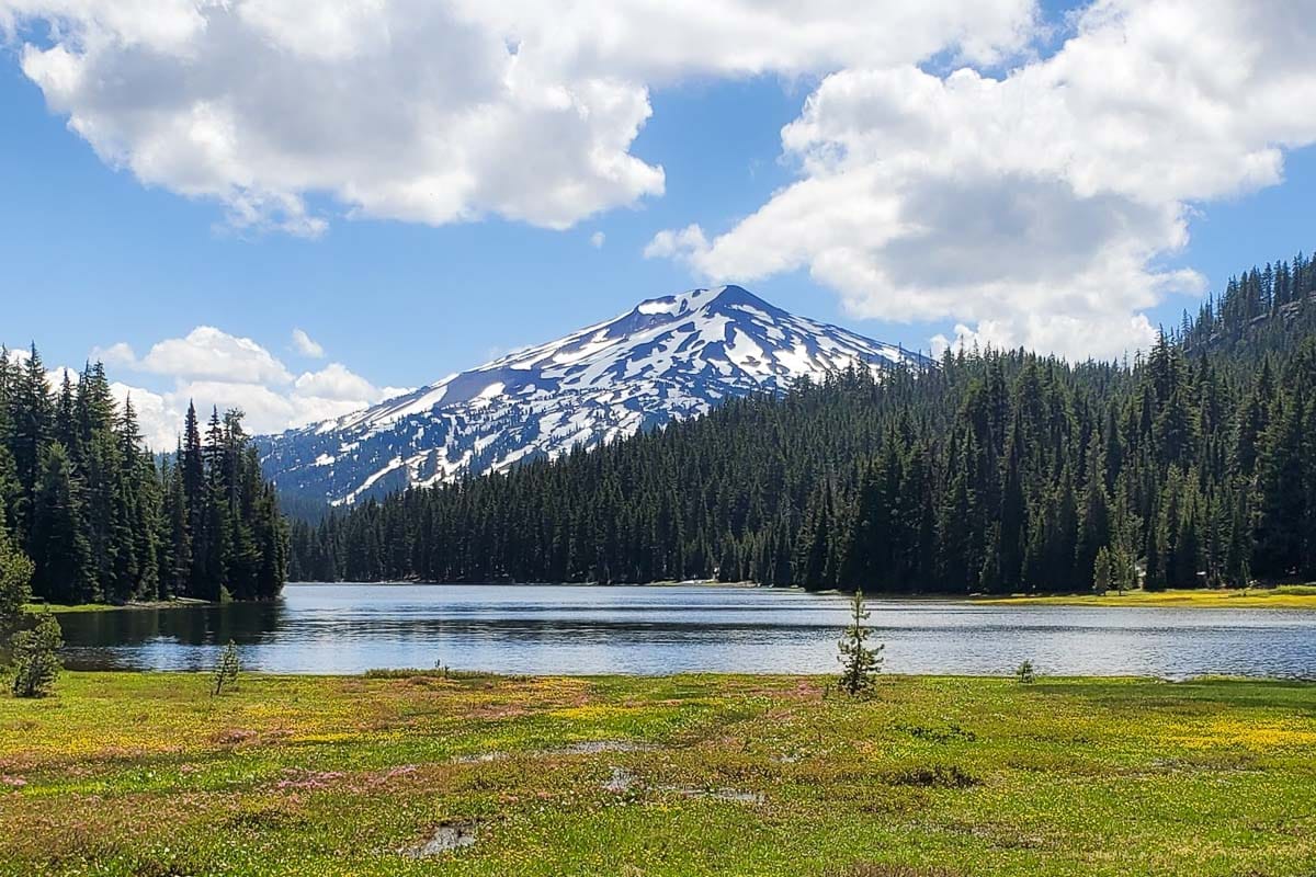A meadow leading to Todd Lake