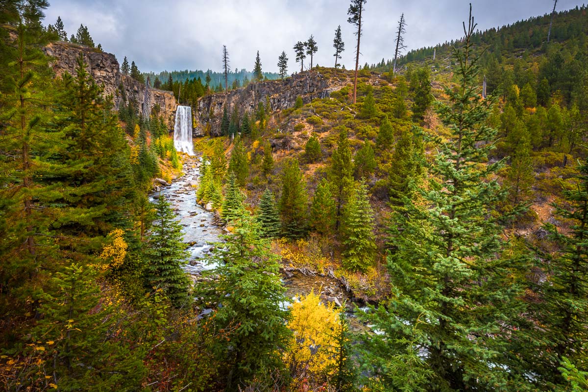 Trees with autumn colors and Tumalo Falls in the distance