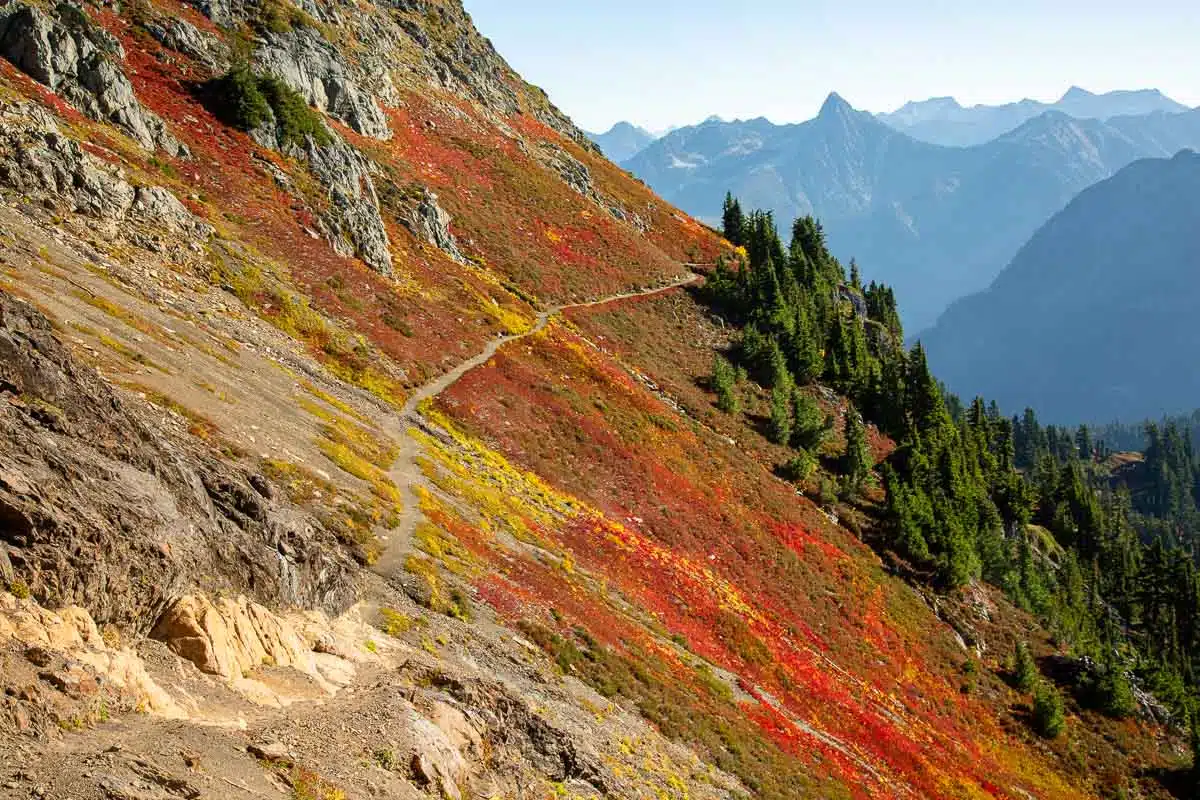 A trail cuts along the steep flank of a mountain. Low red and yellow foliage grow on either side of the trail.