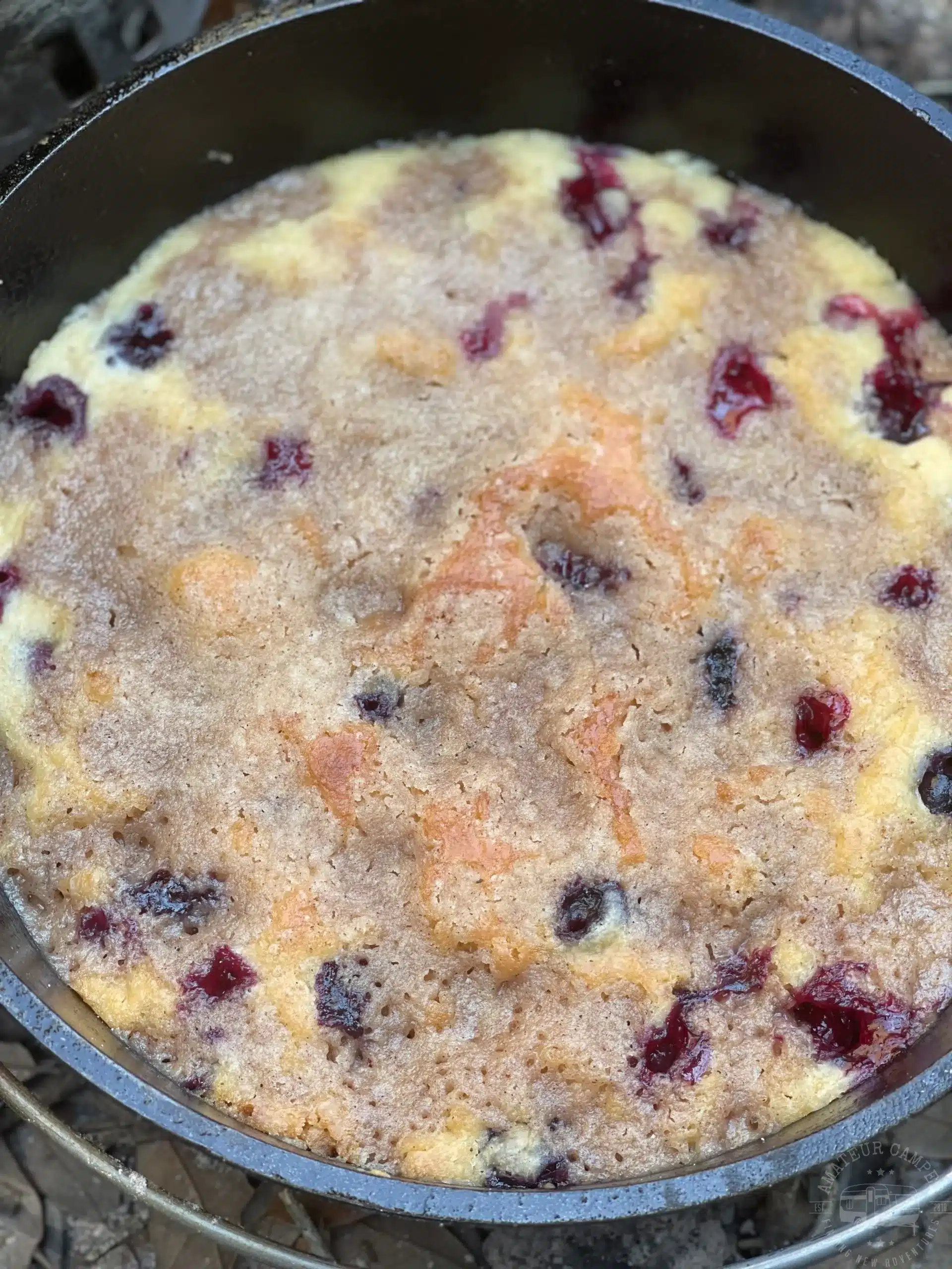 Berry buckle in a dutch oven.