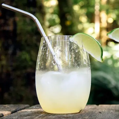 A refreshing glass of lemonade with ice, garnished with a slice of lime, resting on a wooden surface amidst a verdant background.